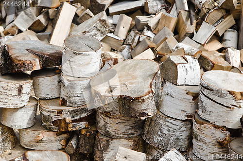 Image of Birch fire wood, close up