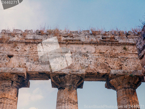 Image of Temple, Paestum