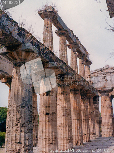 Image of Temple, Paestum