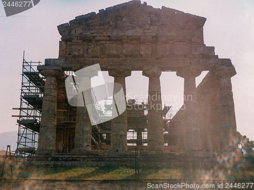 Image of Temple, Paestum