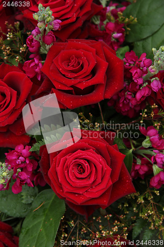 Image of Red and pink bridal flowers