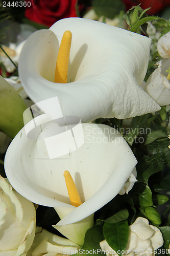 Image of Calla Lily in white arrangement