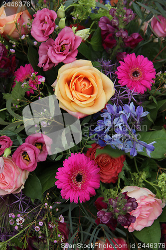 Image of Mixed bouquet in bright colors