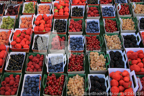 Image of Berries in boxes