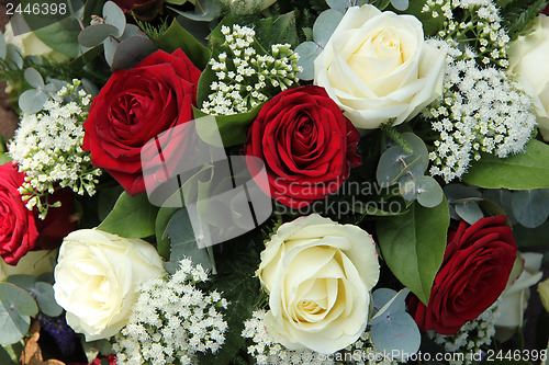 Image of Red and white roses in a bridal bouquet