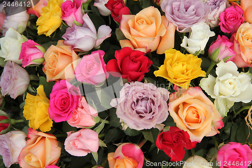 Image of Mixed flower arrangement in bright colors