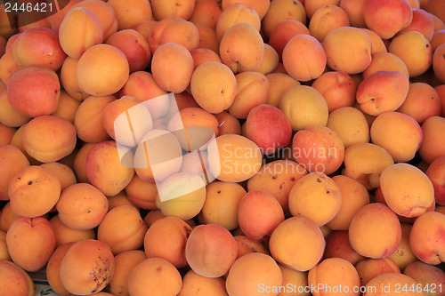 Image of Abricots at a market