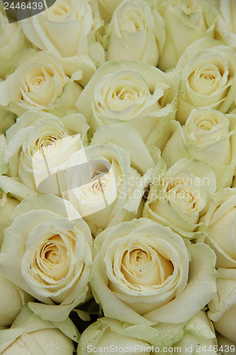 Image of Group of white weddingflowers