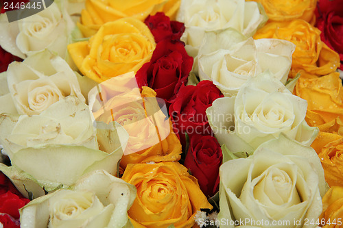 Image of yellow, white and red roses in a wedding arrangement