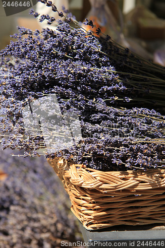 Image of Lavender in a wicker basket