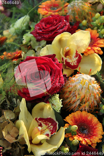 Image of roses and orchids in a flower arrangement