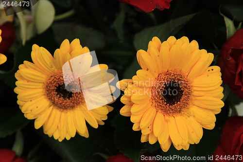 Image of yellow and red flowers in a bridal arrangement