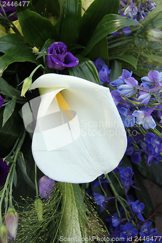 Image of Calla Lily and blue bridal bouquet