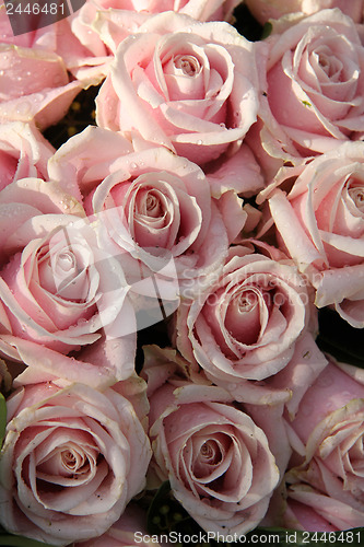 Image of Pink roses in a wedding centerpiece