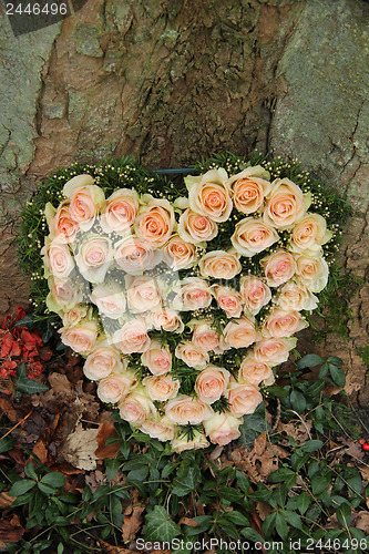 Image of Heart shaped sympathy flowers