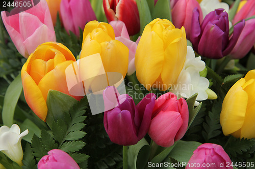 Image of Mixed tulip bouquet