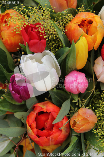 Image of Mixed tulip arrangement