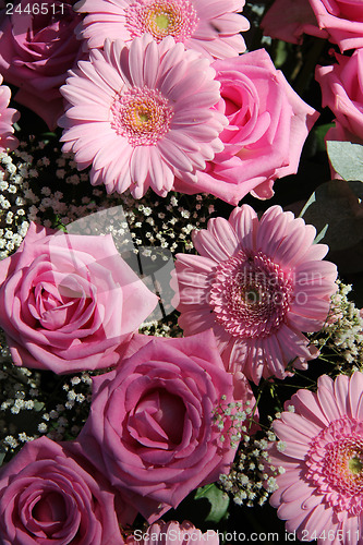 Image of pink roses and gerberas