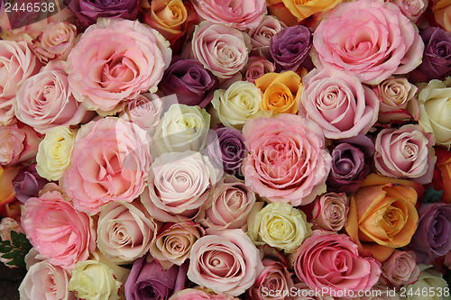 Image of Pastel wedding roses