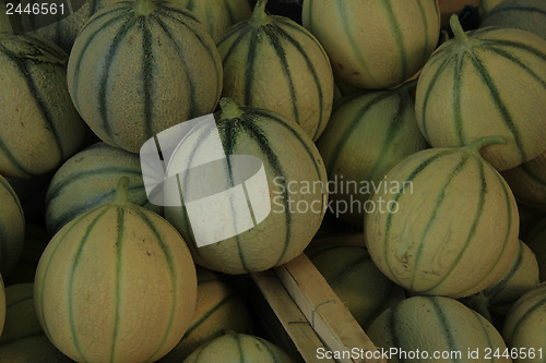 Image of Melons at a French market