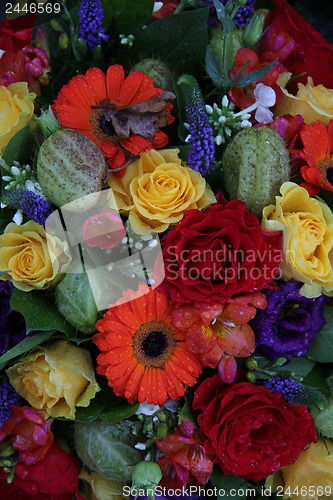 Image of Mixed flower arrangement