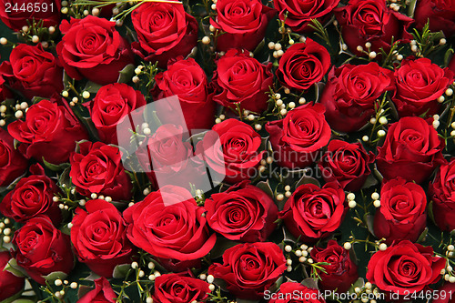 Image of Red roses and small white berries