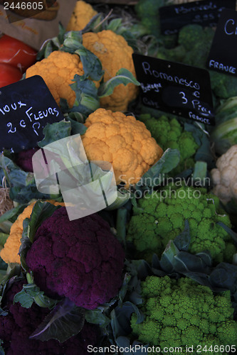 Image of Cauliflower