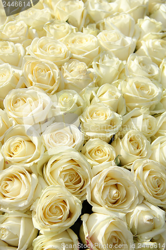 Image of Group of white roses in floral wedding decorations