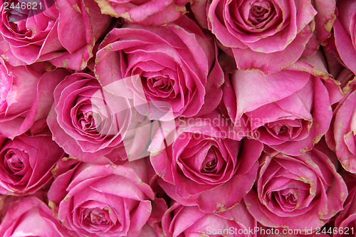 Image of big pink roses in a wedding centerpiece