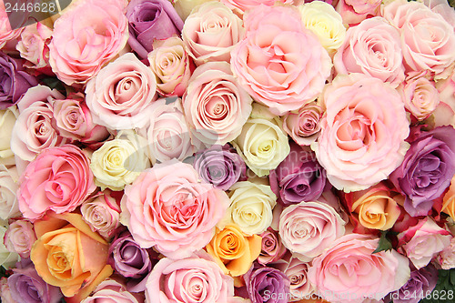 Image of Pastel wedding roses