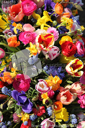 Image of Mixed Spring Flowers