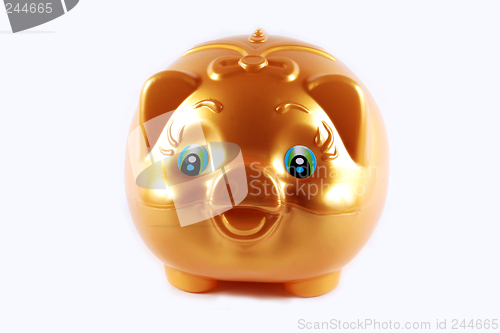 Image of Gold pig