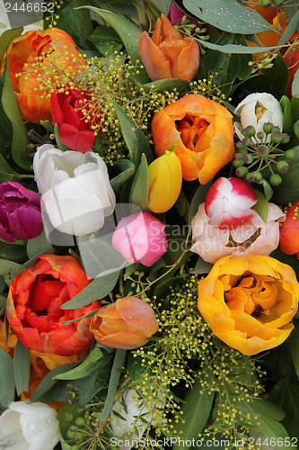 Image of Mixed tulip arrangement