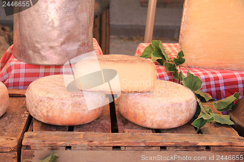 Image of Cheese at a market