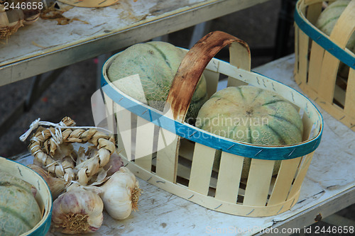 Image of Melons and garlic