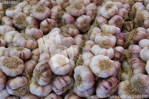 Image of Fresh garlic at a market