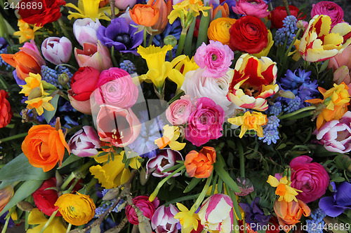 Image of Spring flowers in bright colors