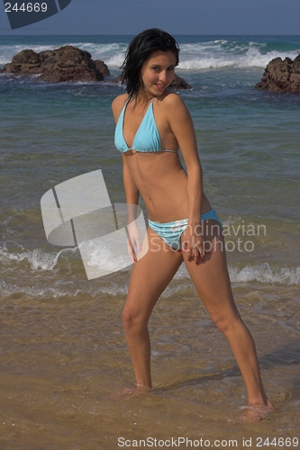 Image of Bikini Model