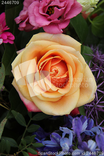 Image of Orange pink rose in a mixed bouquet