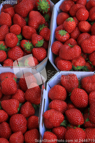 Image of Strawberries in boxes