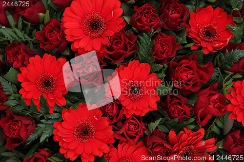 Image of red floral arrangement