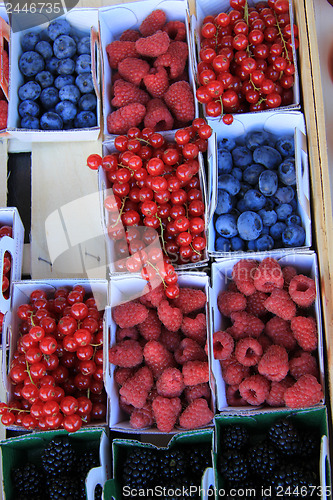 Image of Berries in boxes