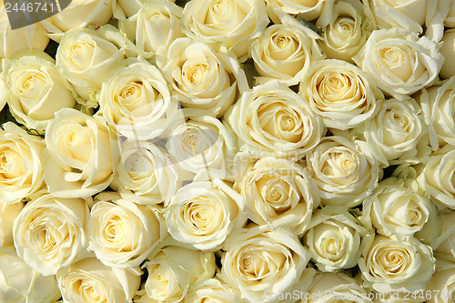 Image of Group of white roses in floral wedding decorations