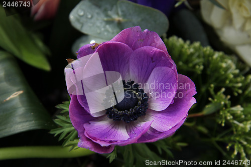 Image of Anemones in bridal arrangement