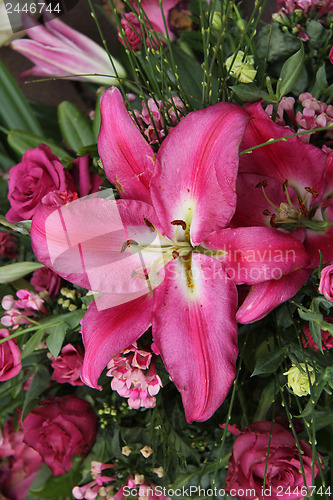 Image of Big pink lily