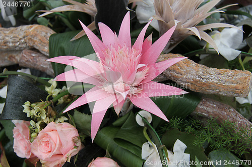 Image of Pink bromelia in a flower arrangement