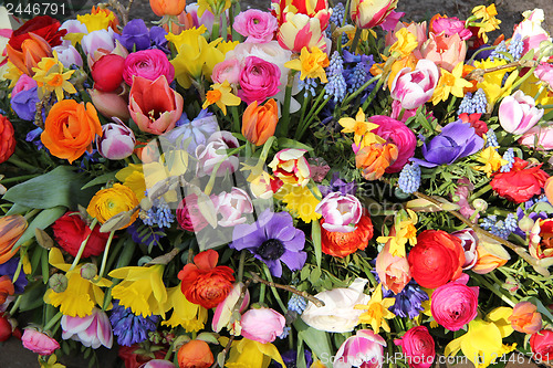 Image of Mixed Spring Flowers