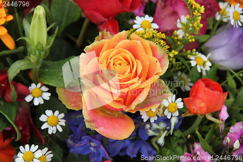 Image of Flower arrangement in bright colors