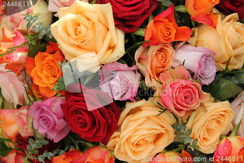 Image of Colorful rose bouquet