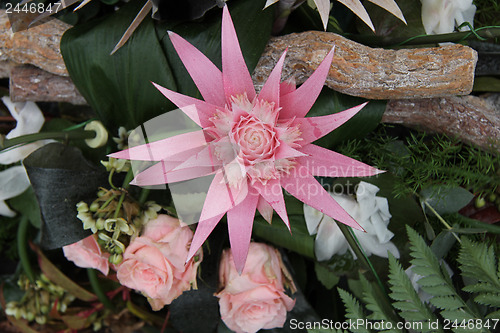 Image of Pink bromelia in a flower arrangement